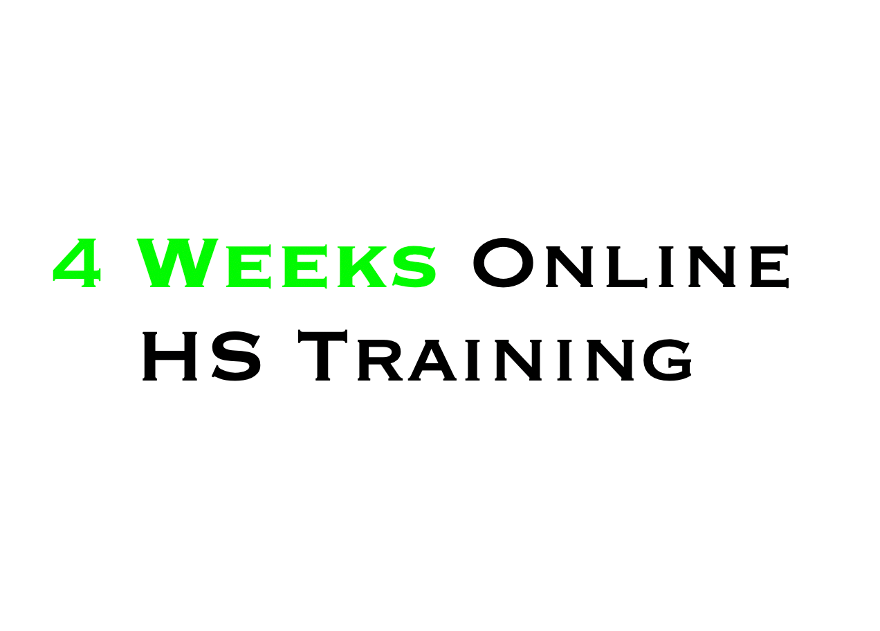 4 weeks NOV/DEC BEGINNER - Online Handstand Group Classes with Miguel
