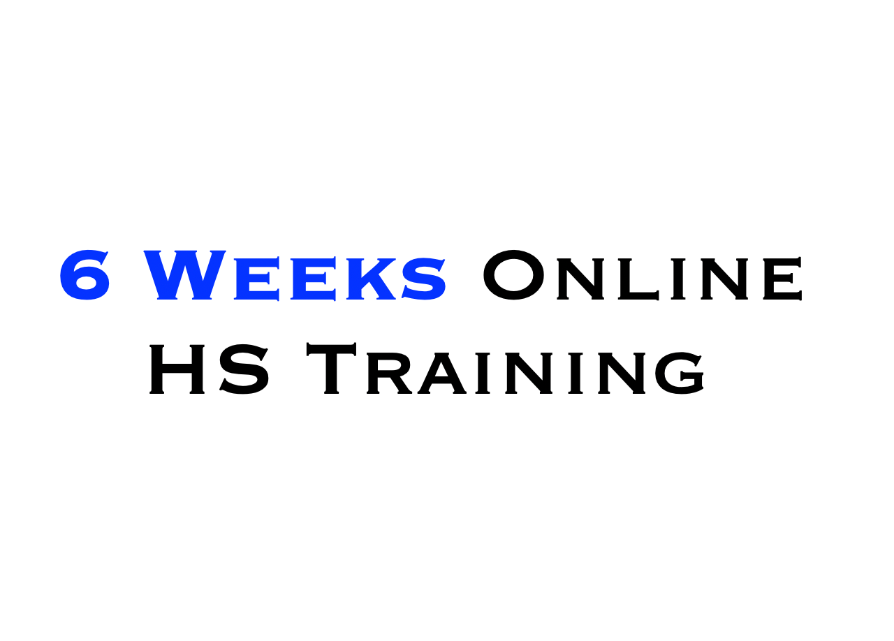 6 weeks NOV/DEC ADVANCED - Online Handstand Group Classes with Miguel